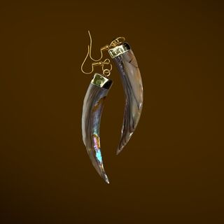 Paua Earrings