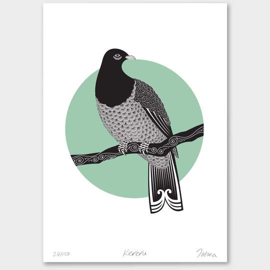 Kereru Limited Edition Print